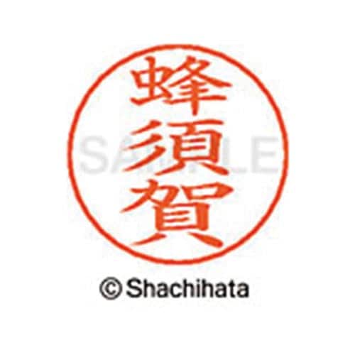 ネームペン用ネーム シルバー 既製 蜂須賀