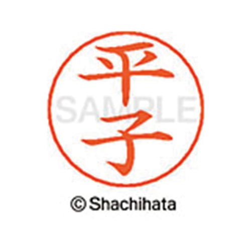 ネームペン用ネーム シルバー 既製 平子