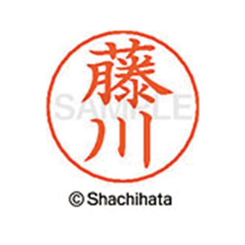ネームペン用ネーム シルバー 既製 藤川