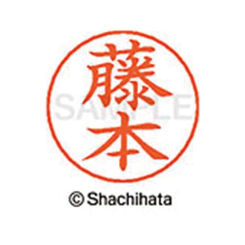 ネームペン用ネーム シルバー 既製 藤本
