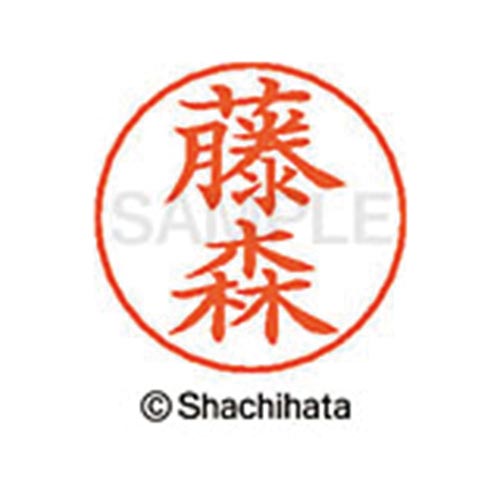 ネームペン用ネーム シルバー 既製 藤森