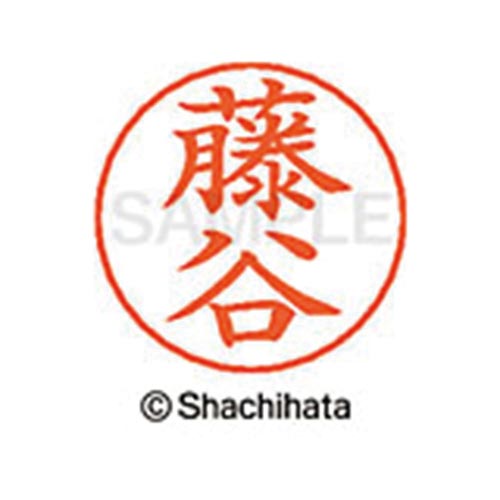 ネームペン用ネーム シルバー 既製 藤谷