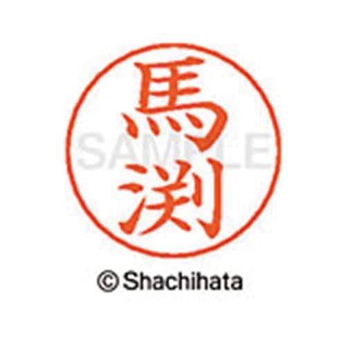ネームペン用ネーム シルバー 既製 馬渕