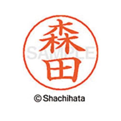 ネームペン用ネーム シルバー 既製 森田