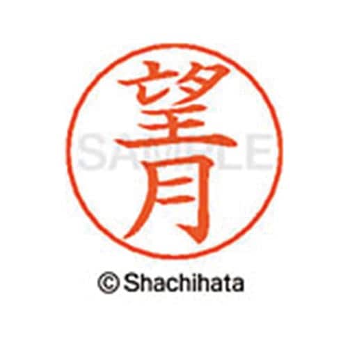 ネームペン用ネーム シルバー 既製 望月