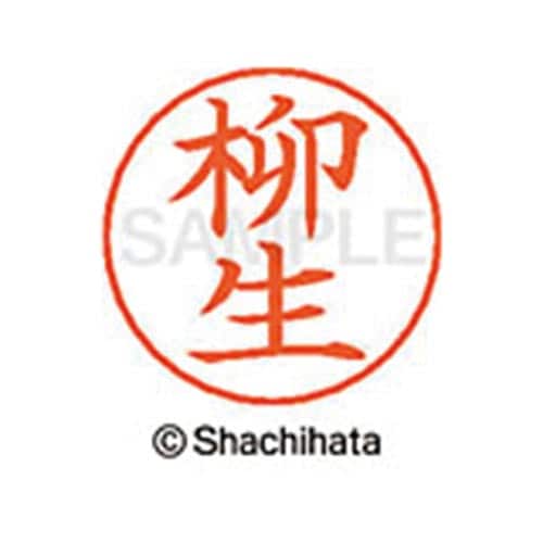 ネームペン用ネーム シルバー 既製 柳生