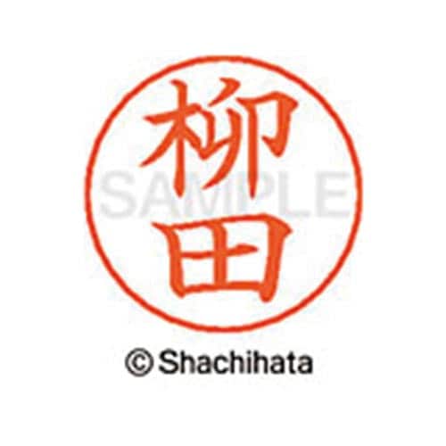 ネームペン用ネーム シルバー 既製 柳田