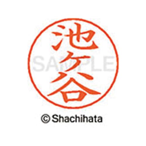 ネームペン用ネーム シルバー 既製 池ヶ谷