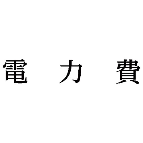 科目印 電力費