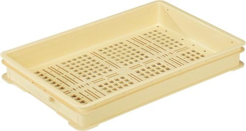 パンコンテナー #250(2) アイボリー