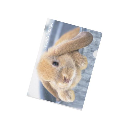 クリヤーホルダー A4 ウサギ×50