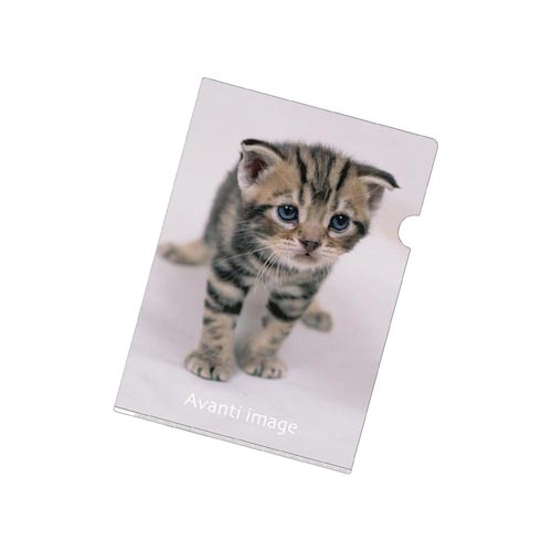 クリヤーホルダー A4アメリカンショート2×50