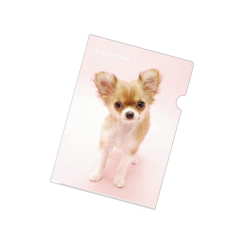 クリヤーホルダー A4 チワワ ×50