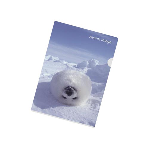 クリヤーホルダー A4 アザラシ2×50