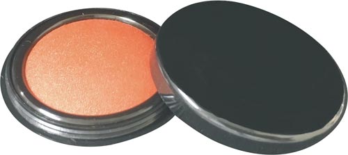 サンビー速乾朱肉60号