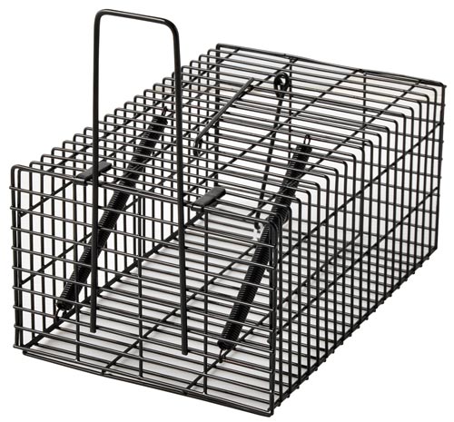 ブラック角型ハウス