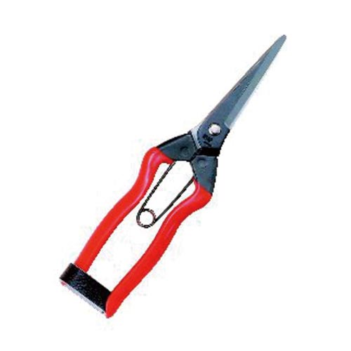 青果鋏 200mm J−12