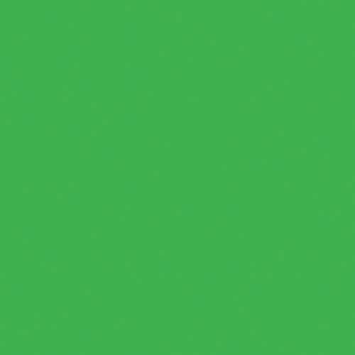 折り紙 単色 35cm 黄緑 50枚入×2