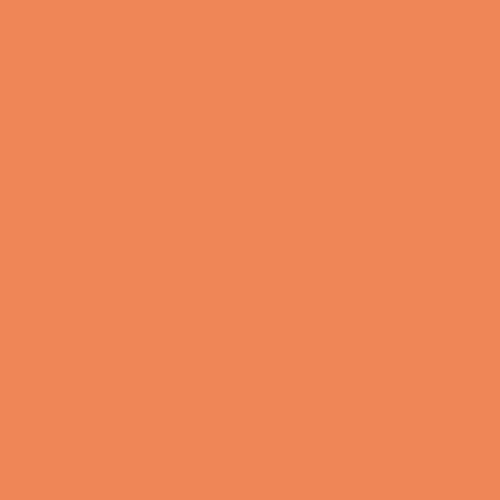 折り紙 単色 35cm あんず 50枚入×2