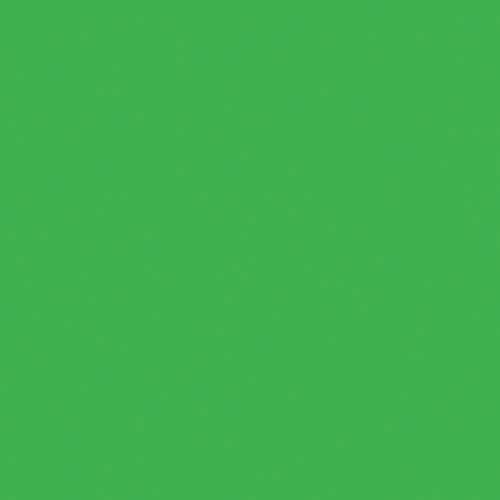 折り紙 単色 24cm 黄緑 50枚入×4