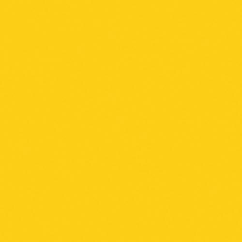 折り紙 単色 24cm やまぶき 50枚入×4