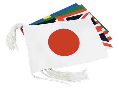 万国旗30ヵ国セットS判