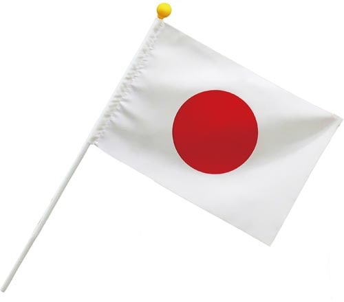 国旗応援国旗20x30cm×5