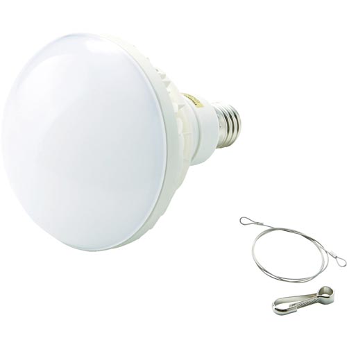 LED投光器用50WLED球