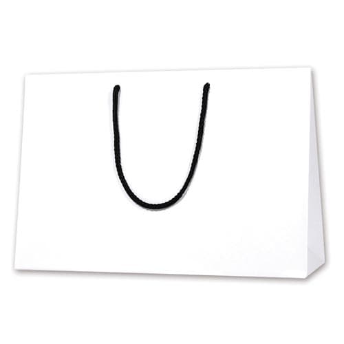 ブライトバッグ 45−13 白(MT) 10枚