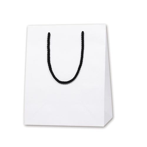 ブライトバッグ 22−12 白(MT) 10枚