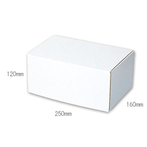 フリーBOX F−77 10枚