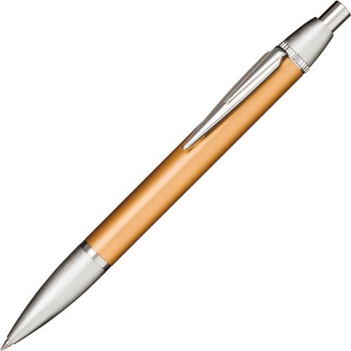 タイムタイド ボールペン ケース入 ゴールド