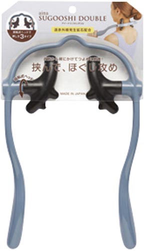 アイーナスゴオシダブル