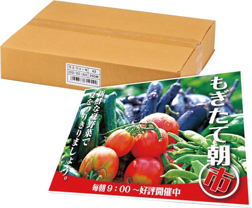 ラミフリーA3 250枚入