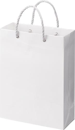 ビニールカバー手提げ紙袋 白 A4 10枚×5