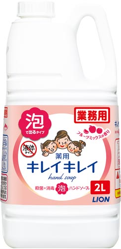 キレイキレイ薬用泡ハンドソープフルーツM業務用2L