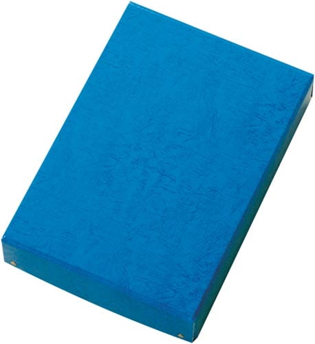 整理箱 無地 青