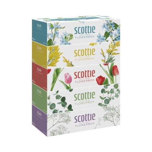 スコッティ ティシュー フラワー 250組×5箱