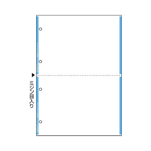 FSC(R)認証プリンタ帳票A4複写L2面2穴