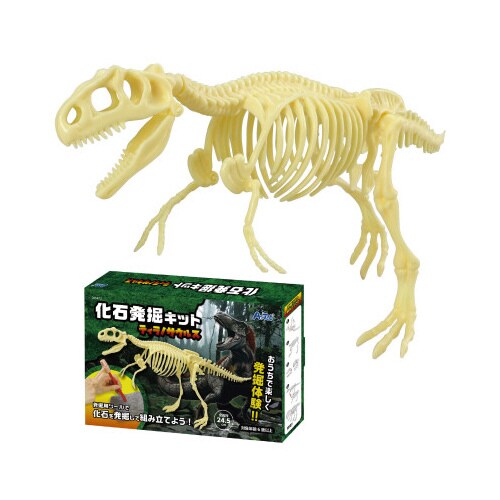 化石発掘キット ティラノサウルス