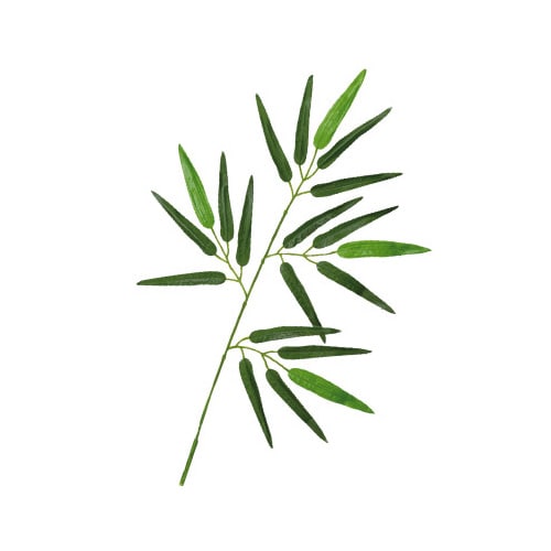 七夕笹ミニサイズ