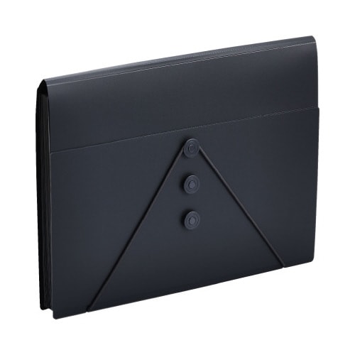 サクッと整理ドキュメントファイル(フタ付)クロX2