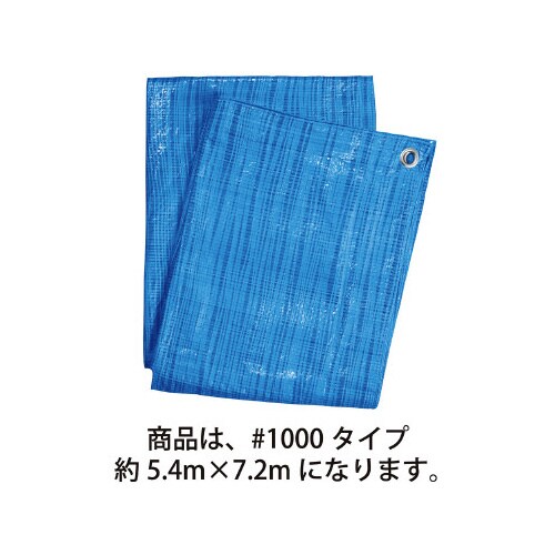 ブルーシート 薄手 #1000 約5.4×7.2m