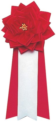 記章リボン 中 赤 12個入