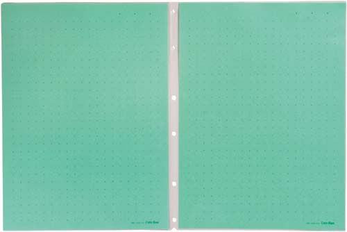 カラーベースヒクタススティック替紙A4縦緑50枚