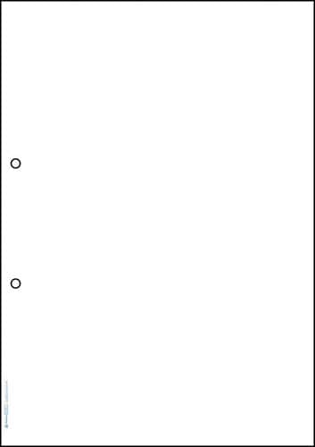 マルチプリンタ用紙 A4白紙 2穴100枚