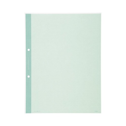 クリヤーブック替紙 A4縦 2穴 緑 10枚