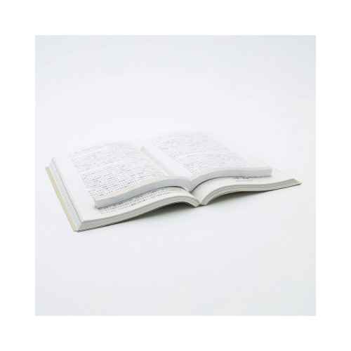 本に寄り添う文鎮・鉄製・グレー