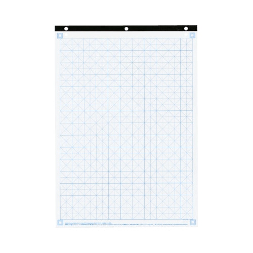 セクションパッド A1 50mm方眼 50枚入