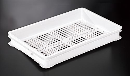 抗菌パンコンテナー #250(2) ナチュラル